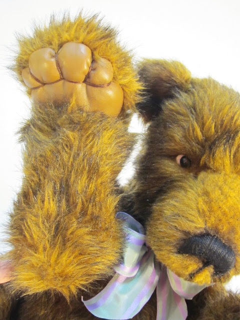Baxter19