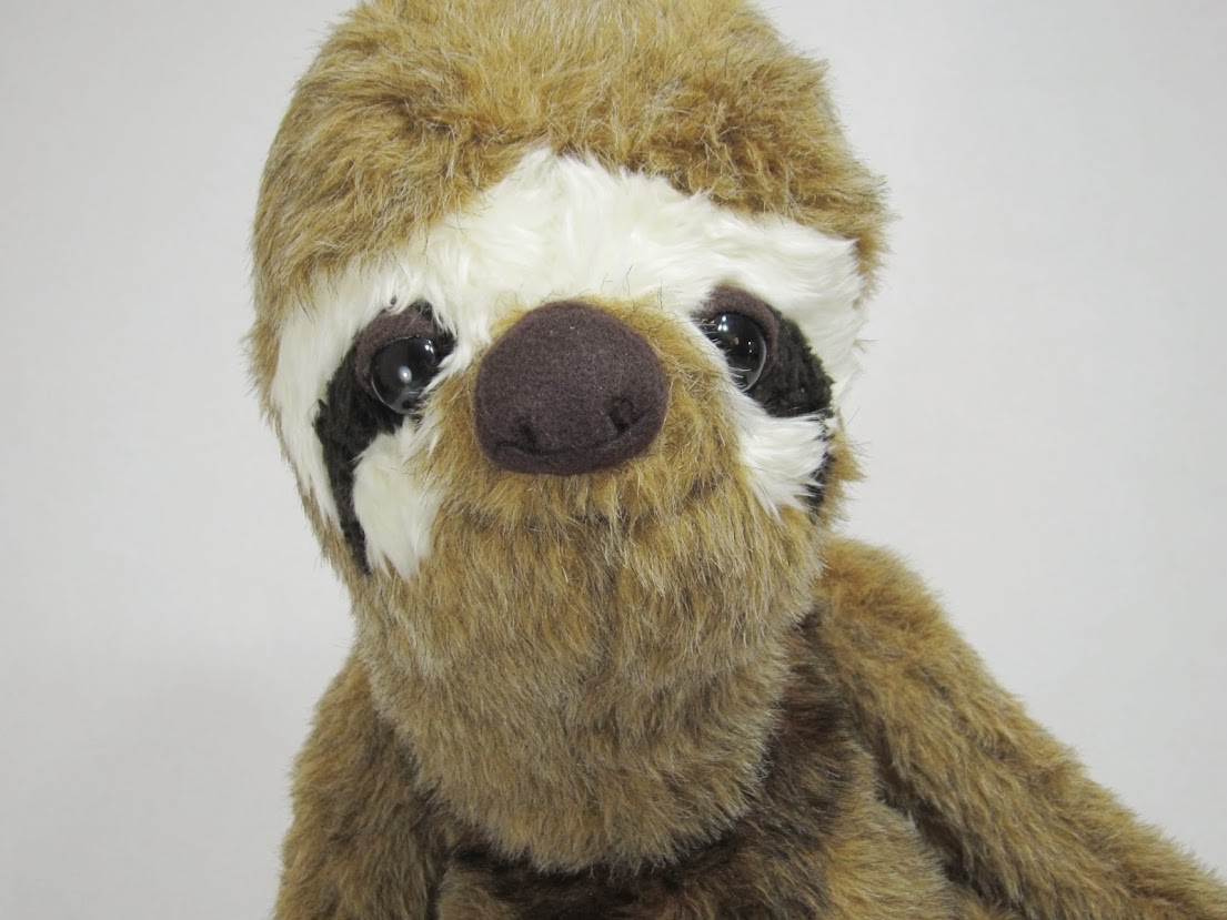 SnuggleSloth09