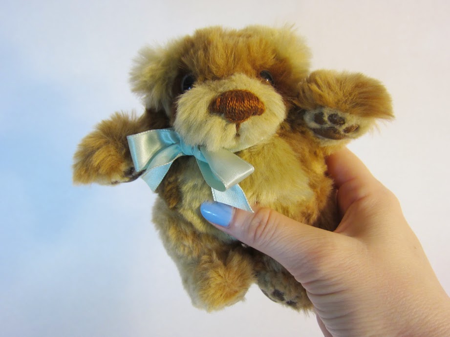 Teddy01