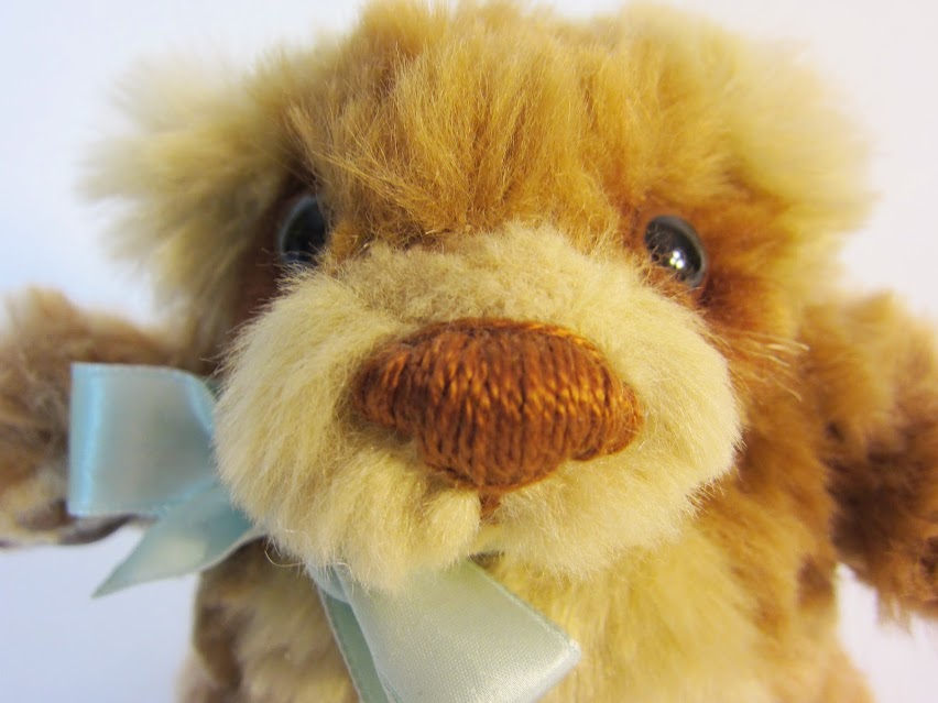 Teddy06