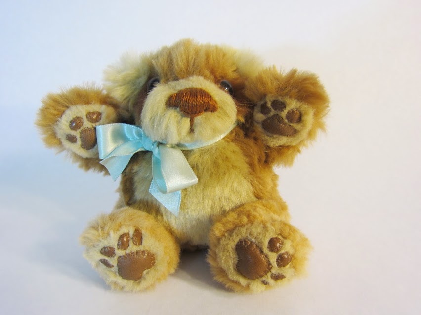 Teddy10